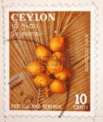 Ceylon 10-cent stamp of king coconuts
